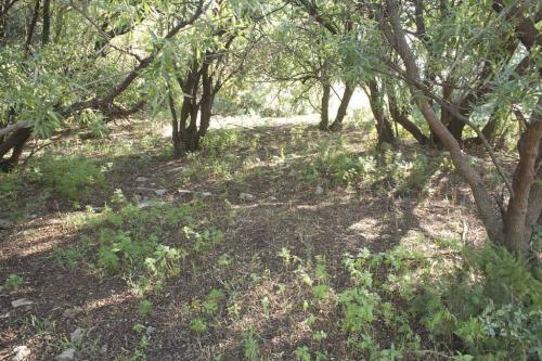 2f Foundation of their house